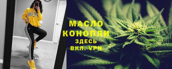 индика Богородск