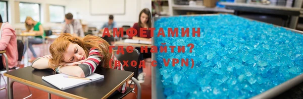 молекула духа Богородицк