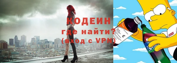 индика Богородск
