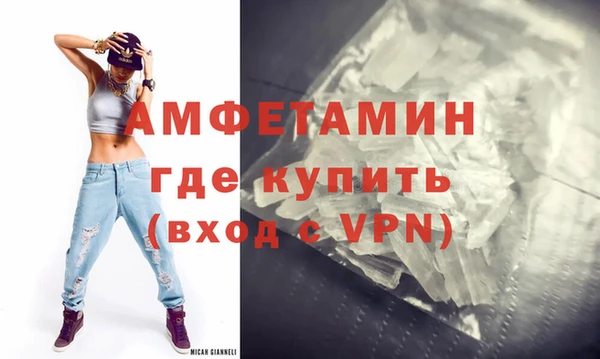 стаф Богданович