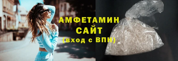 индика Богородск