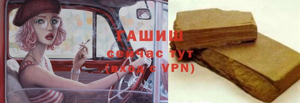 стаф Богданович