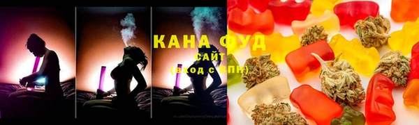 стаф Богданович