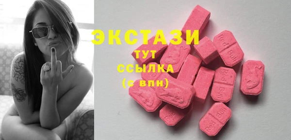 стаф Богданович