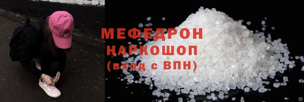 индика Богородск
