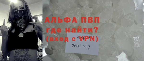 молекула духа Богородицк