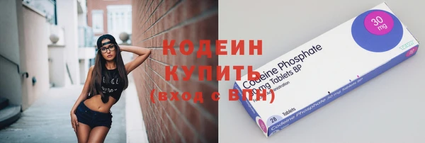 индика Богородск