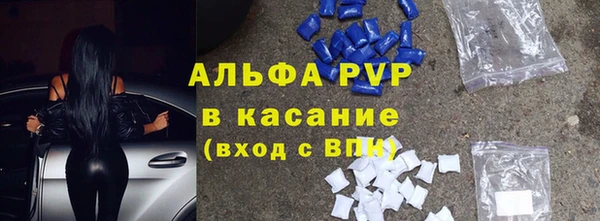 стаф Богданович