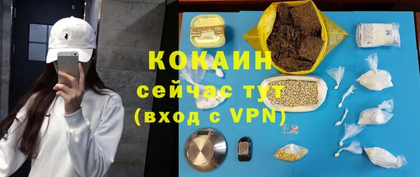 молекула духа Богородицк