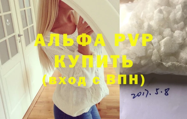 индика Богородск