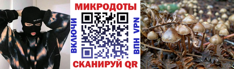 Псилоцибиновые грибы ЛСД  наркотики  Красный Сулин 